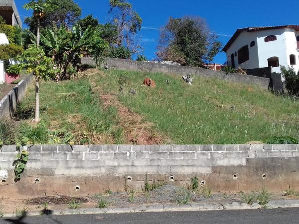 Terreno em Aclive – Nova Lindóia